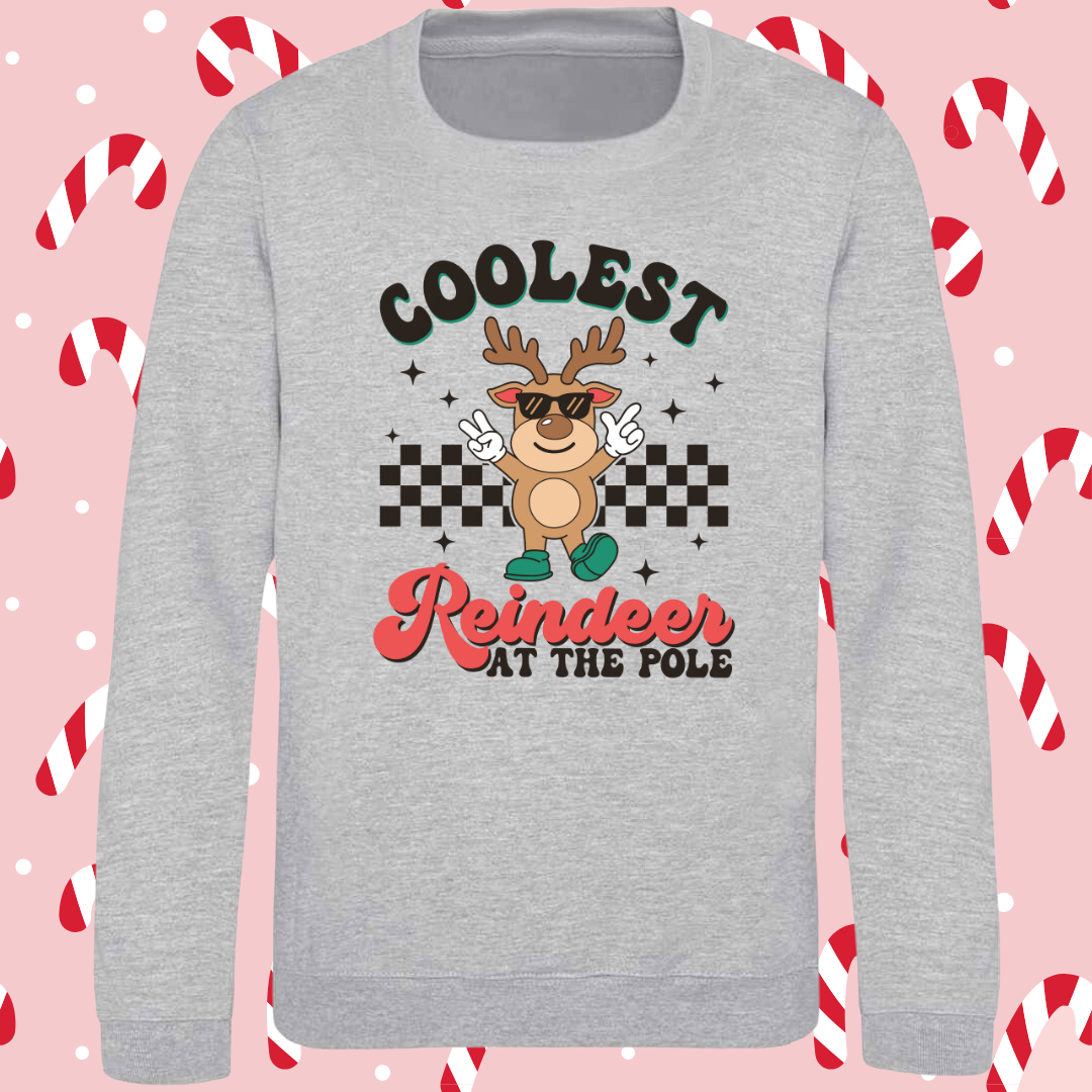 Coolest Reindeer Children’s Christmas Jumper