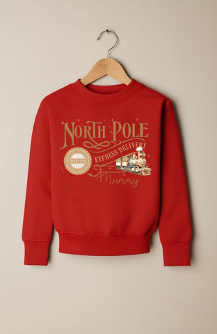 Adults Red North Pole Jumper